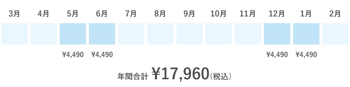 年間合計 ¥35,920(税込）
